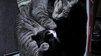 P1010111.jpg