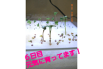 v-727639636.png