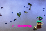 v-727886630.png